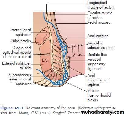 SURGERY OF THE ANAL CANAL