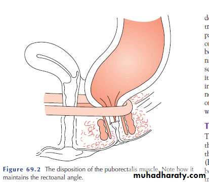 SURGERY OF THE ANAL CANAL