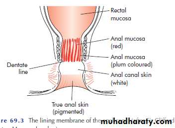 SURGERY OF THE ANAL CANAL