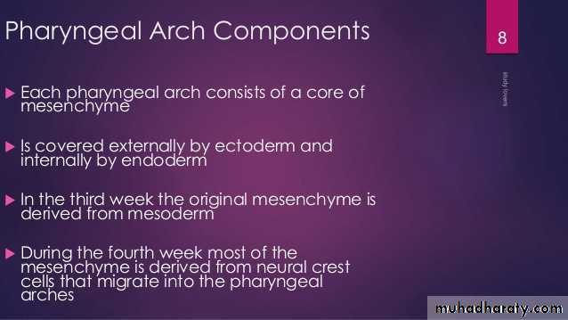 Embryology