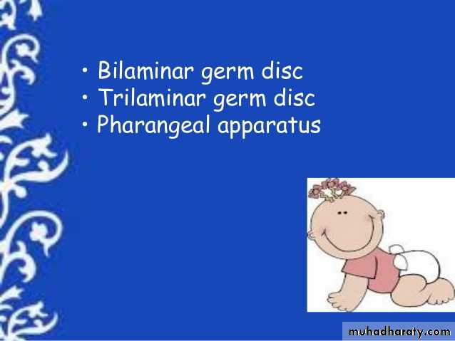 Embryology