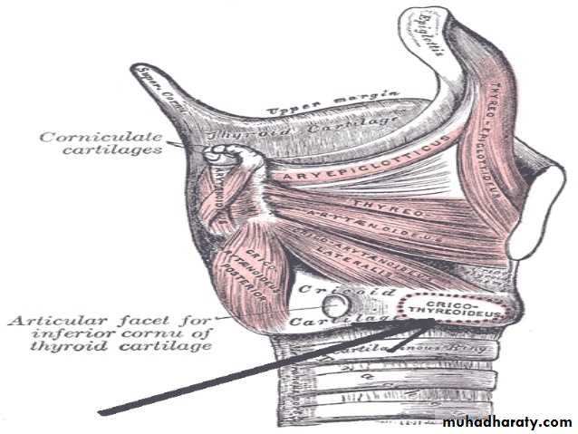 Embryology