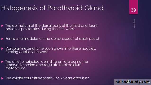 Embryology
