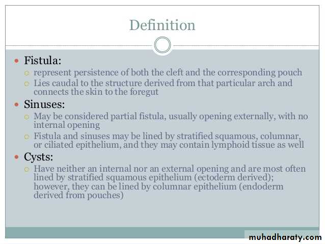 Embryology