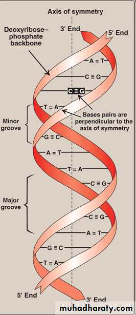 Nucleic acids