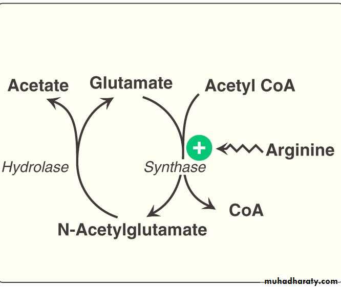 Amino acid