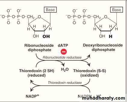 Nucleic acids