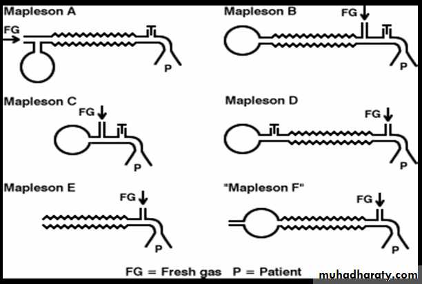 Breathing Circuits In Anaesthesia