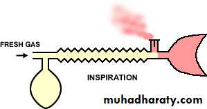 Breathing Circuits In Anaesthesia