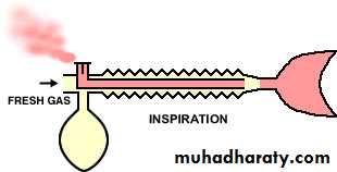 Breathing Circuits In Anaesthesia