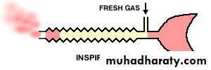 Breathing Circuits In Anaesthesia