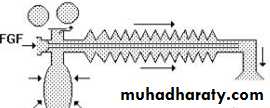 Breathing Circuits In Anaesthesia