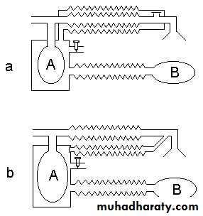 Breathing Circuits In Anaesthesia