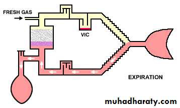 Breathing Circuits In Anaesthesia