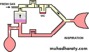 Breathing Circuits In Anaesthesia