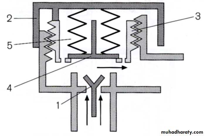 Breathing Circuits In Anaesthesia