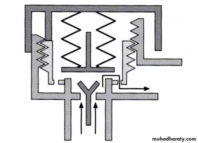 Breathing Circuits In Anaesthesia