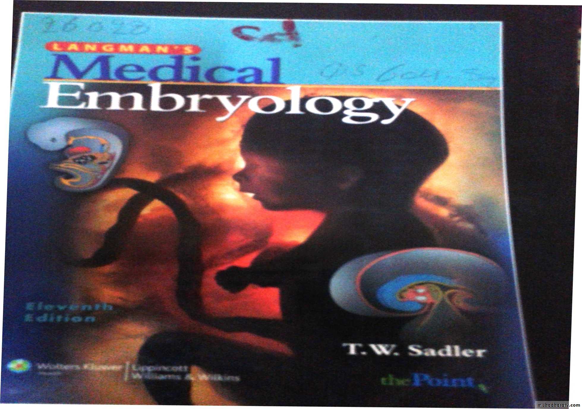 Embryology