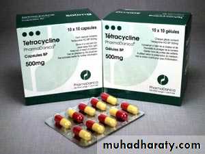 Antibiotics that inhibit protein synthesis