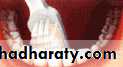 primary health care