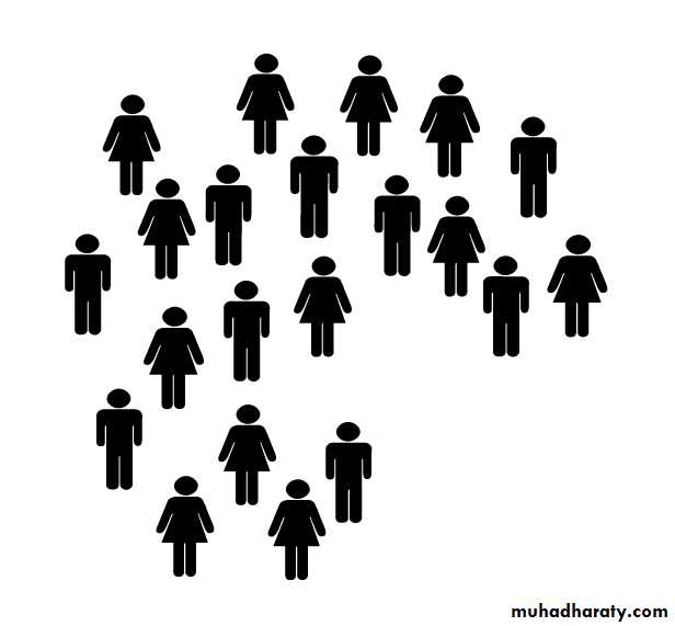 survey