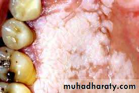 dr asmaa red and white lesions