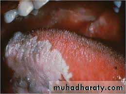 dr asmaa red and white lesions