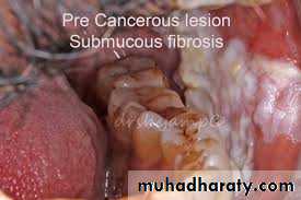 dr asmaa red and white lesions