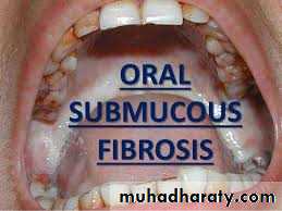 dr asmaa red and white lesions