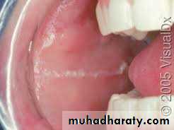 dr asmaa red and white lesions