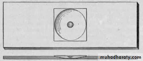 Genus Proteus & Genus Pseudomonas