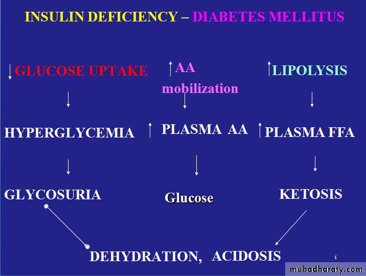 Drugs for the treatment of diabetes mellitus