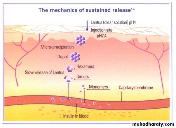 Drugs for the treatment of diabetes mellitus