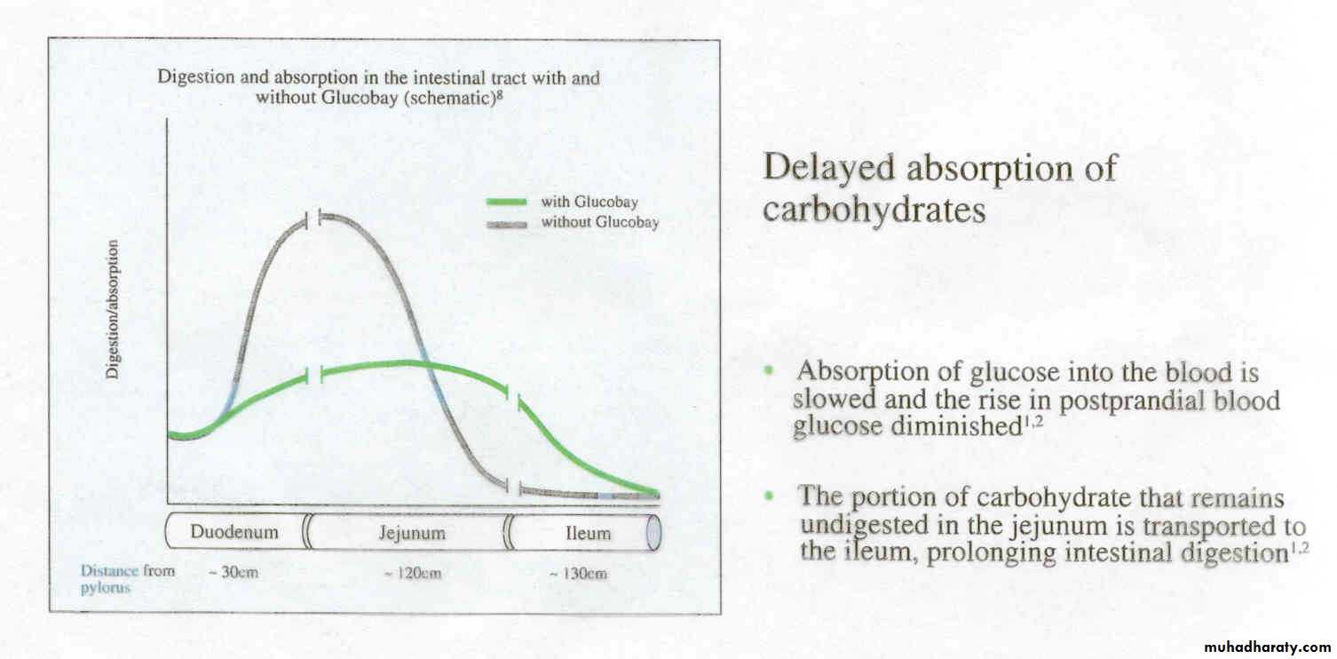 Drugs for the treatment of diabetes mellitus
