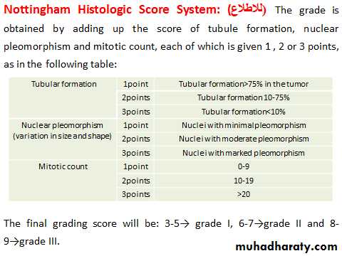 Breast pathology 2