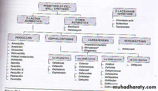 ANTIBIOTICS