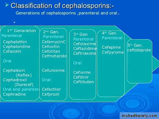 ANTIBIOTICS