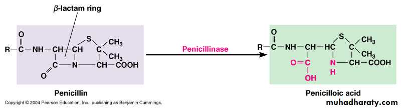 ANTIBIOTICS