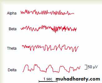 Higher brain functions