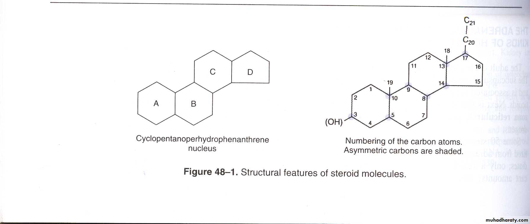 Hormones