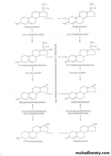 Hormones