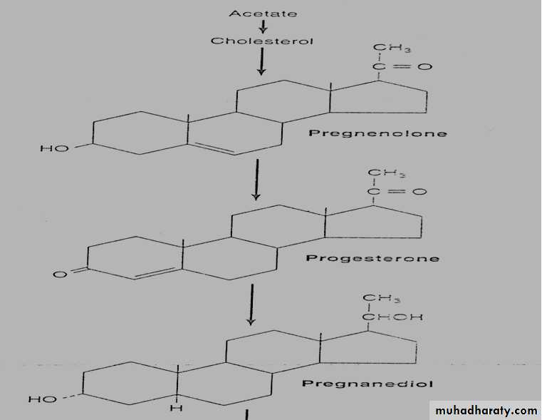 Hormones