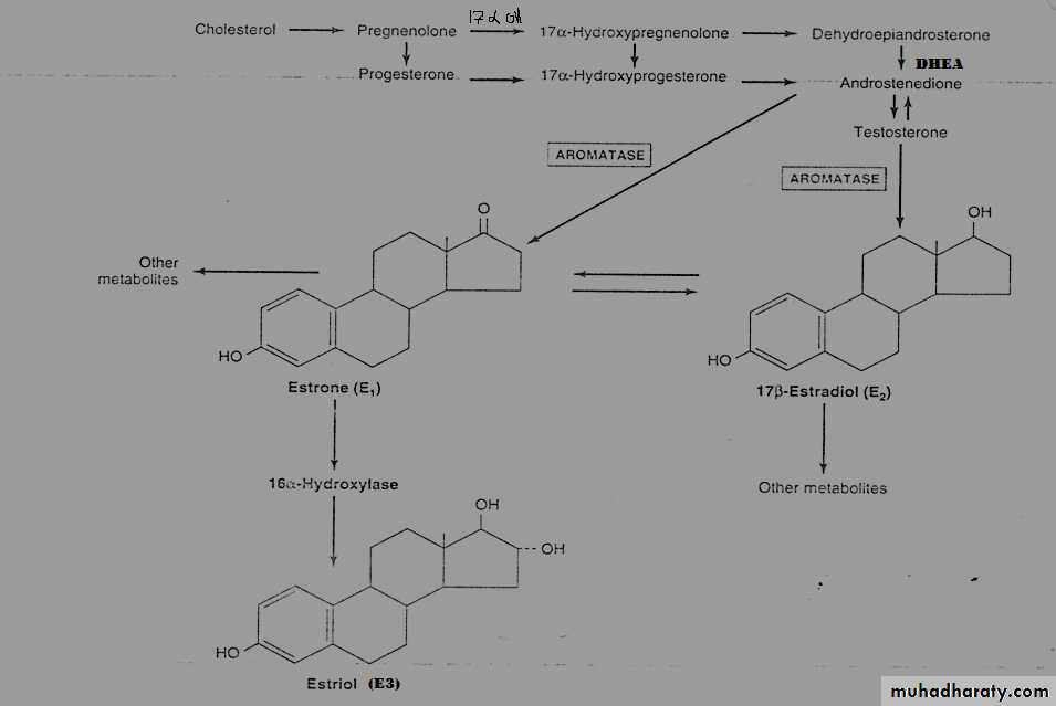 Hormones