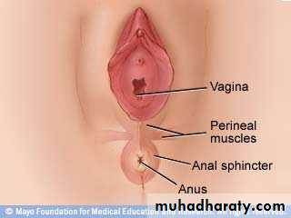 obstetric procedures