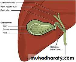 surgical problem
