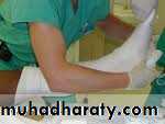 Orthopedics Principle of Fractures