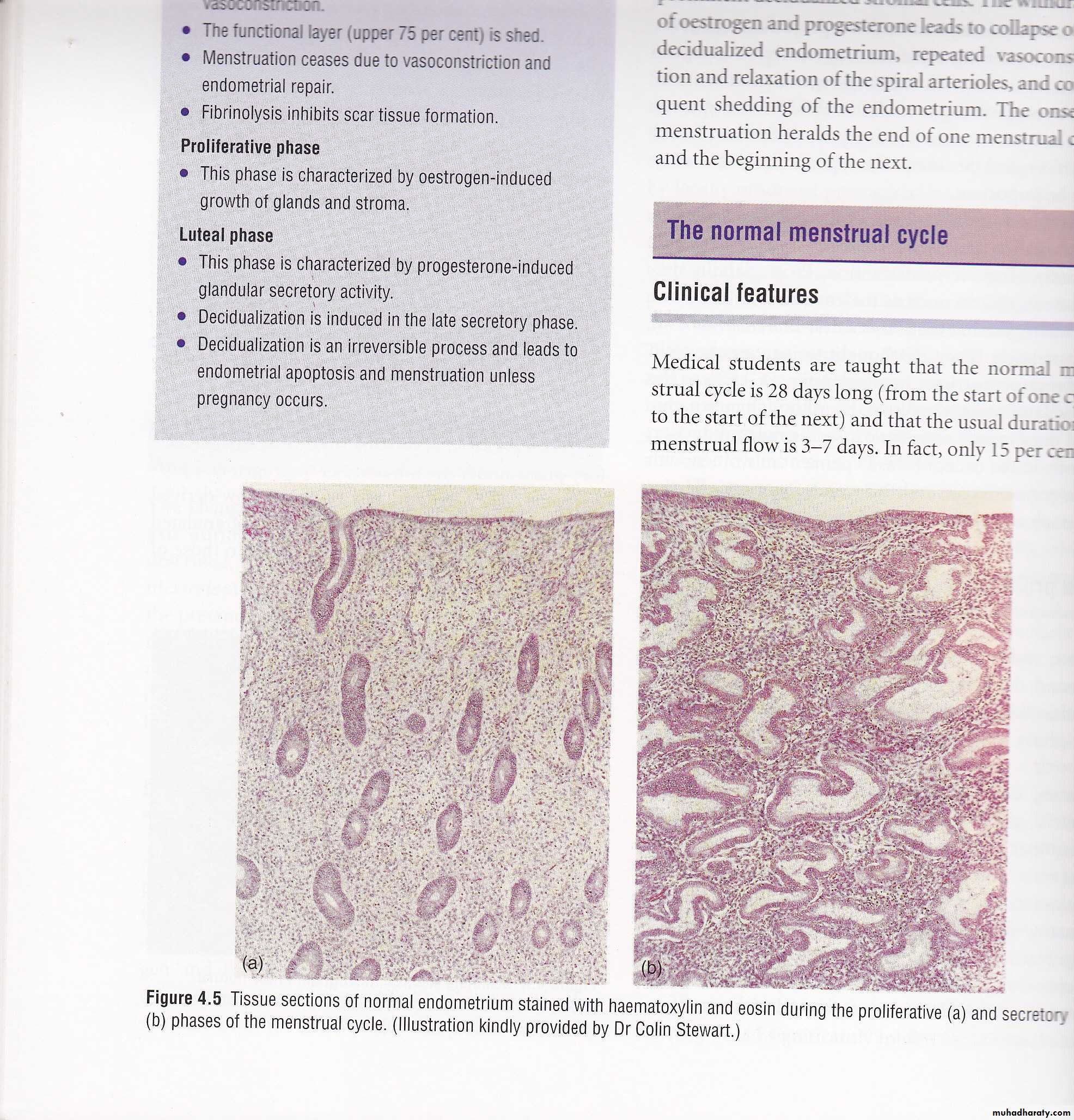 REPRODUCTIVE ENDOCRINOLOGY