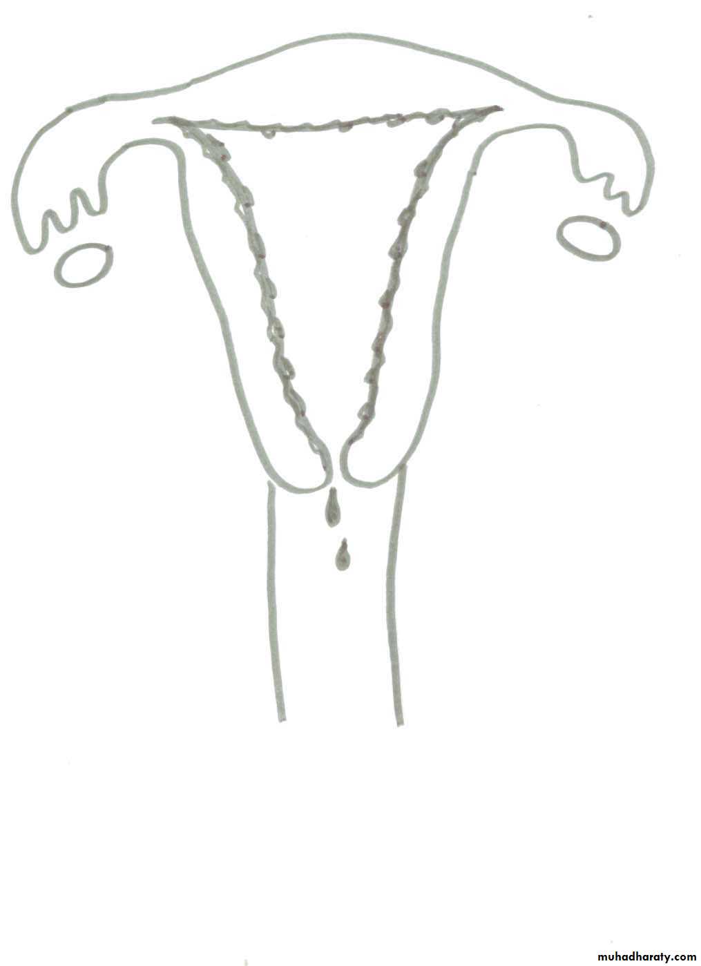 REPRODUCTIVE ENDOCRINOLOGY