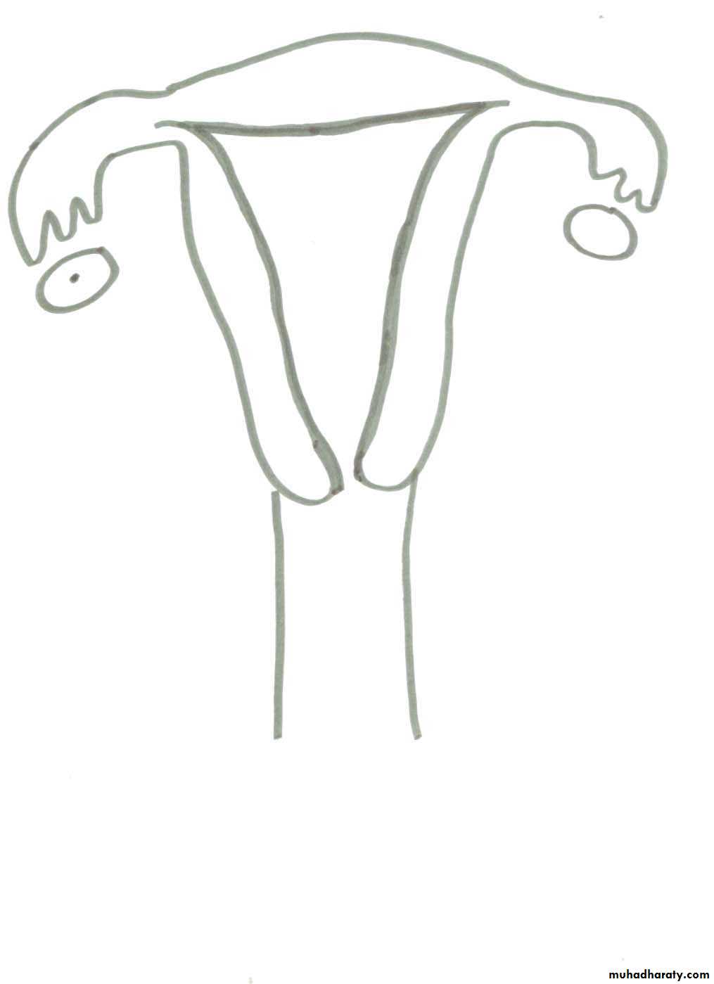 REPRODUCTIVE ENDOCRINOLOGY