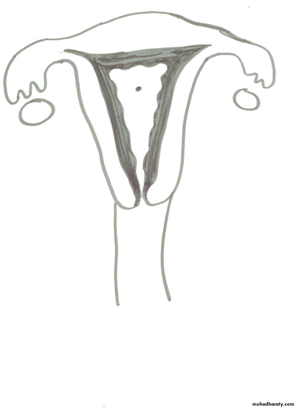 REPRODUCTIVE ENDOCRINOLOGY